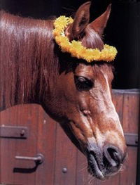 Полина Грекова