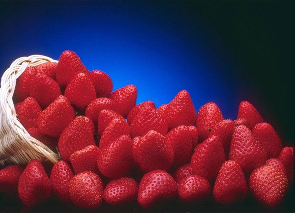 Дастан Байке Маткадыров