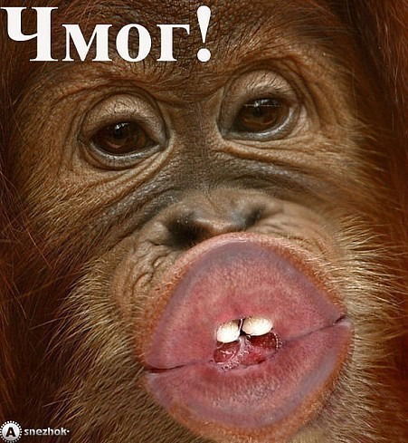 Александр Епанешников