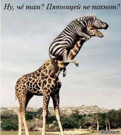 Ирина Середюк