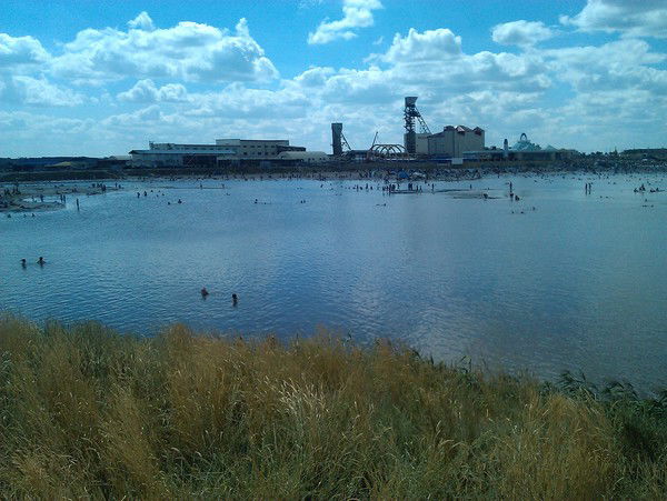 Дмитрий Михеев