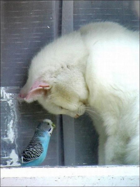 Екатерина Щеглова