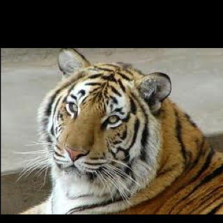 ....... Иванов