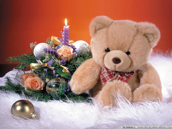 Светлана Елисеева