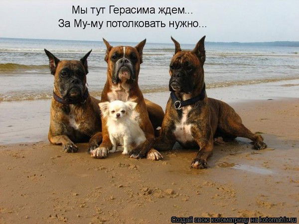 Анатолий Силецкий