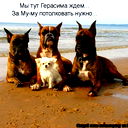 Анатолий Силецкий