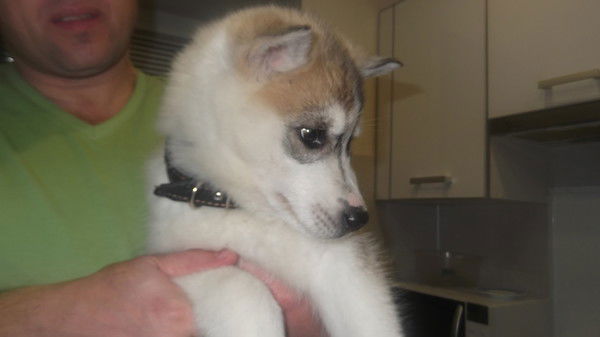 Евгений Петрович