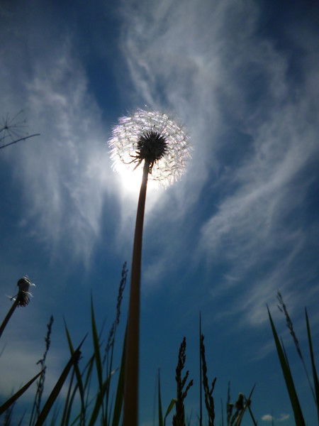 Юлия Лаврентьева