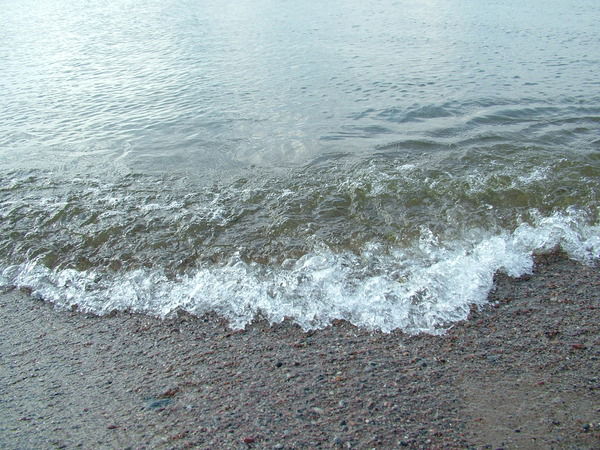 Алексей Богданов