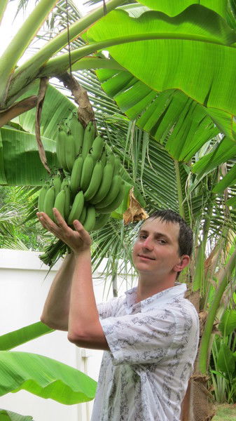 Дмитрий Черный