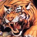 Серёжа Лутченков