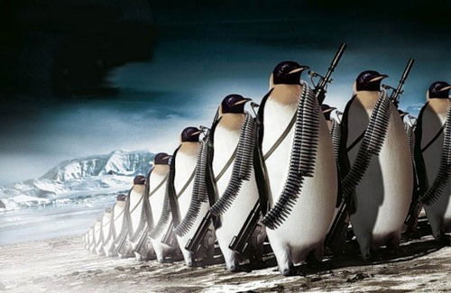 Неизвестно Неизвестно