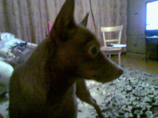 Александр Зимин