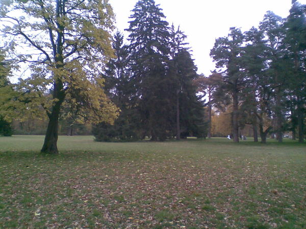 Стас Бойчук