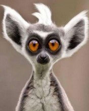 Олег Шетухин