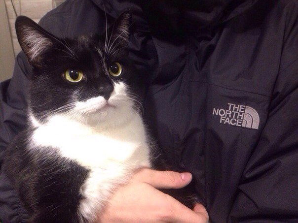 Светка Семакина