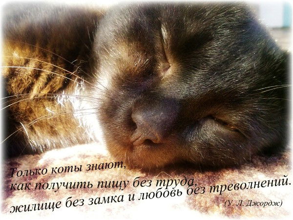 Александр Гусаров