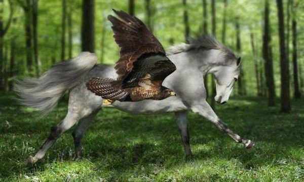 Сергей Живчиков