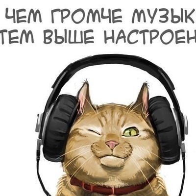 Александр Кривых