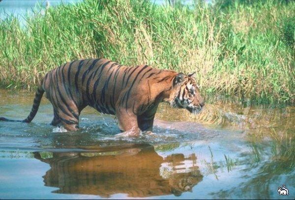 Евгений Гаврилов