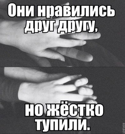 Анастасия Шевченко