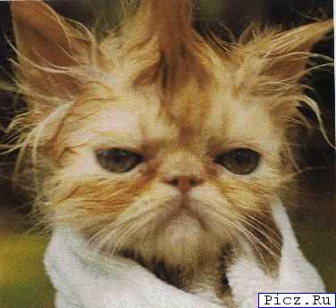 Адай Ильясов