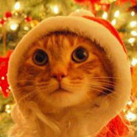 Егор Рокеров