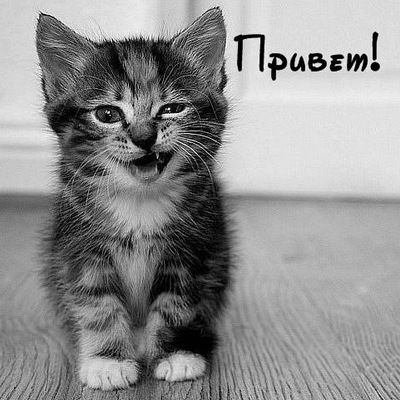 Юлия Кожевникова