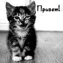 Юлия Кожевникова