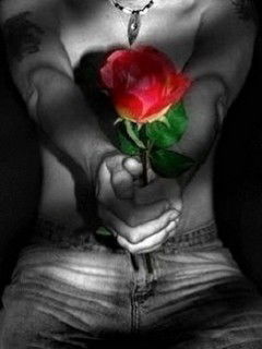 Андреев Николай