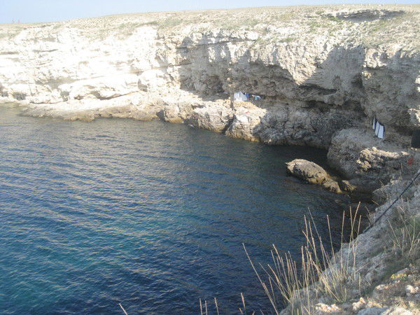 Альбина Гатицкая