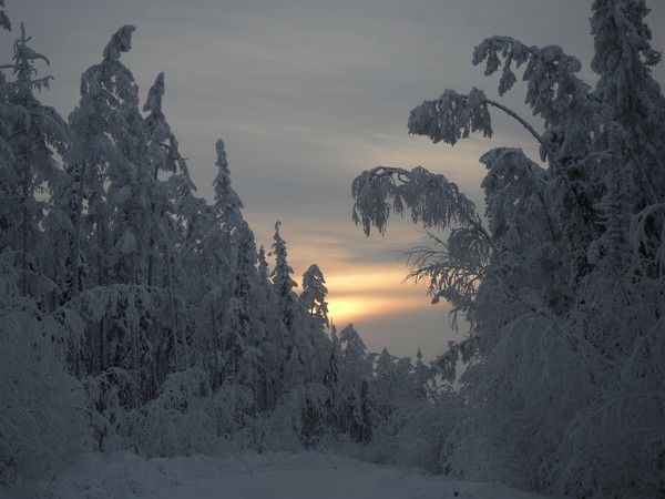 Раиса Моисеевна Смирнова