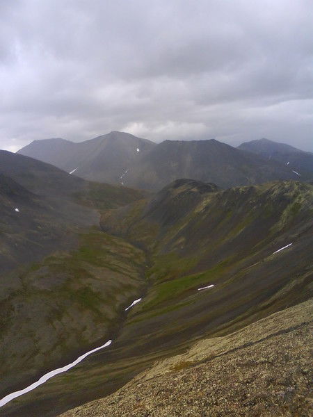 Евгений Гоголев