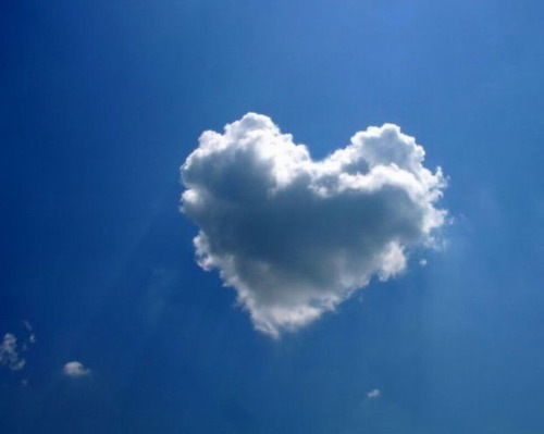 Света Елизарова