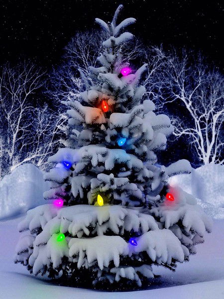 Ольга Дятлева