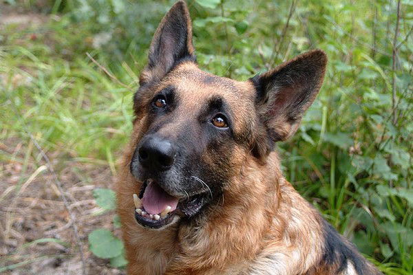 Мария Крупаченко