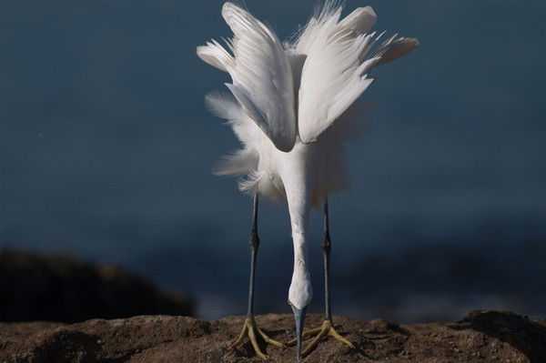 Вадім Панченко