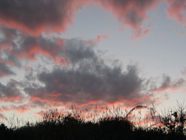 Вячеслав Клепиков