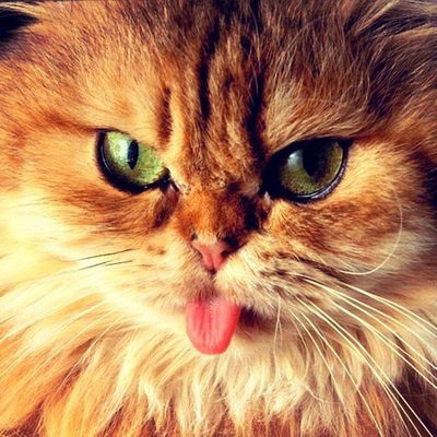 Женя Мушкарёв