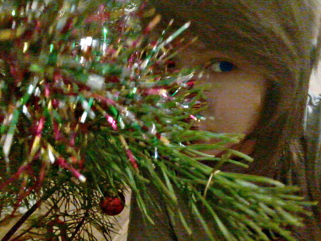 Немного Нормальная