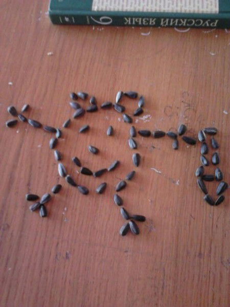 Женя Федоренко