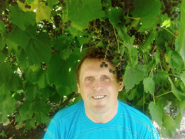 Александр Шабанов