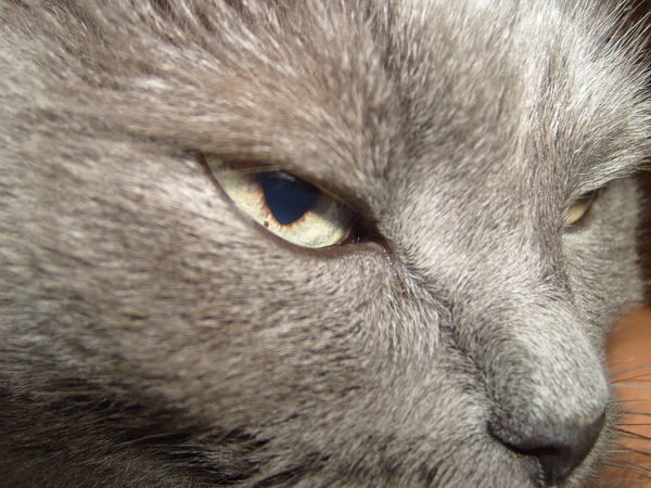 Нина Кириллова