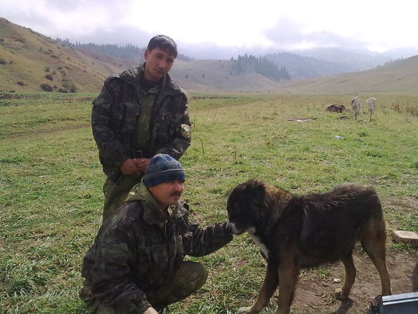 Мурат Аманов