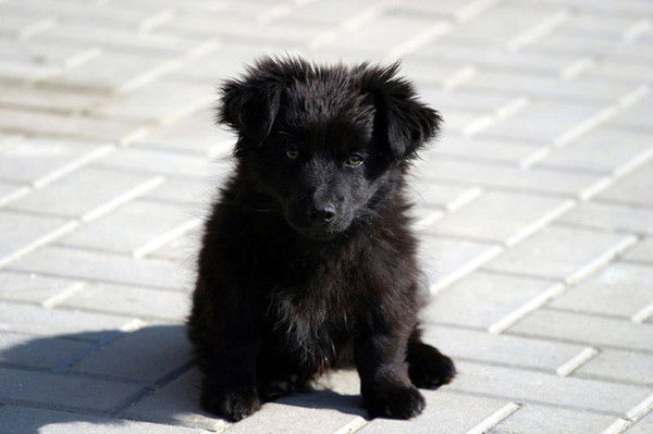 Анастасия Кулик