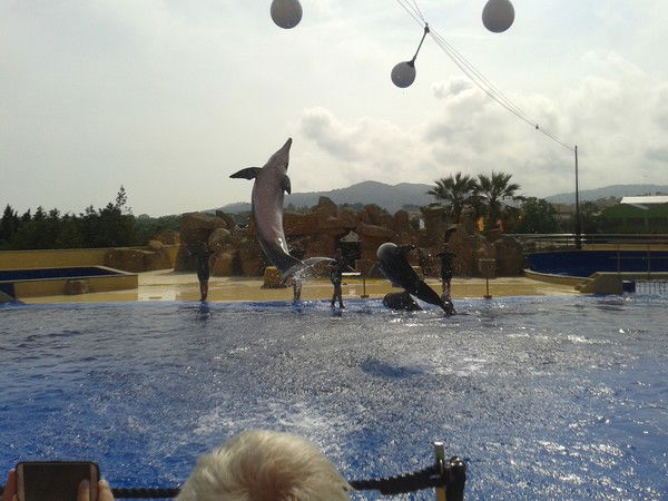 Карина Матюшкина