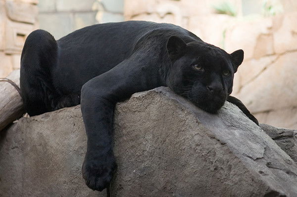 Мария Уварова