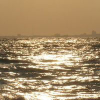 Анюта Полоневич