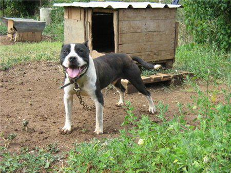 Максим Максимов