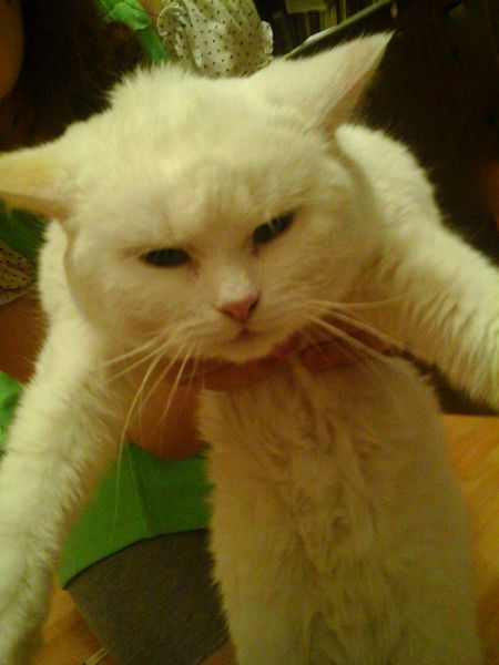 Ольга Горбачёва